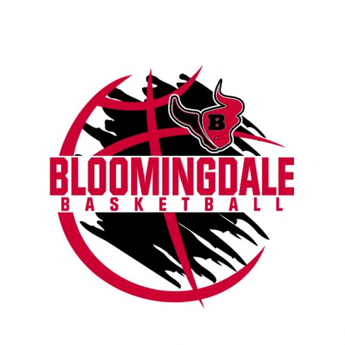 Bloomingdale Boys Basketball 2022/2023